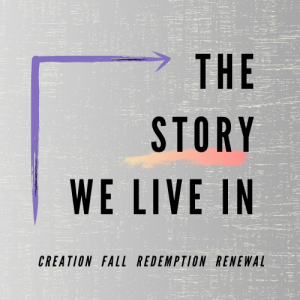 The Story We Live In