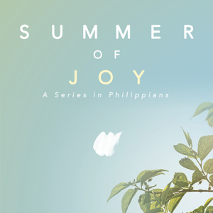 Summer of Joy